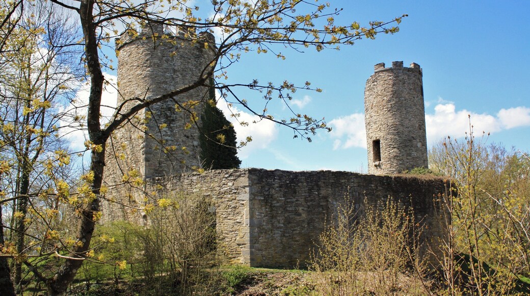 Die Ebersburg LSG 2631001 Hessische Rhön