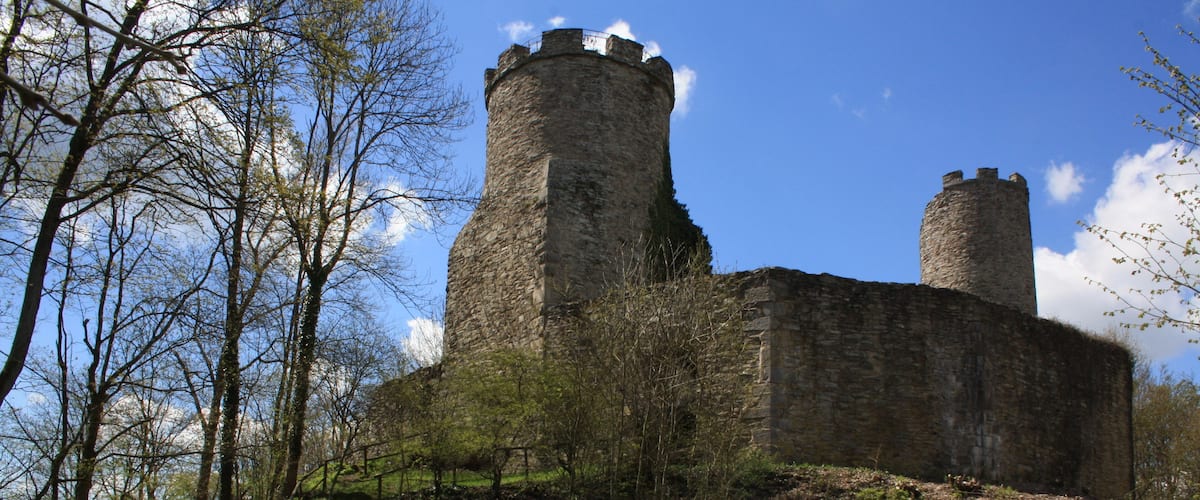 Um castelo de pedra histórico com duas torres, rodeado por árvores e um caminho de pedra.
