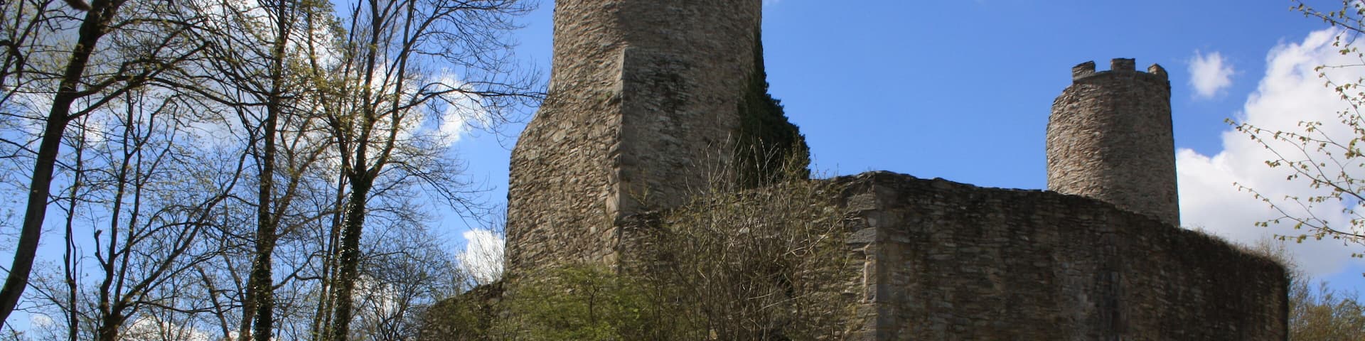 A historic stone castle with two towers, surrounded by trees and a stone pathway.