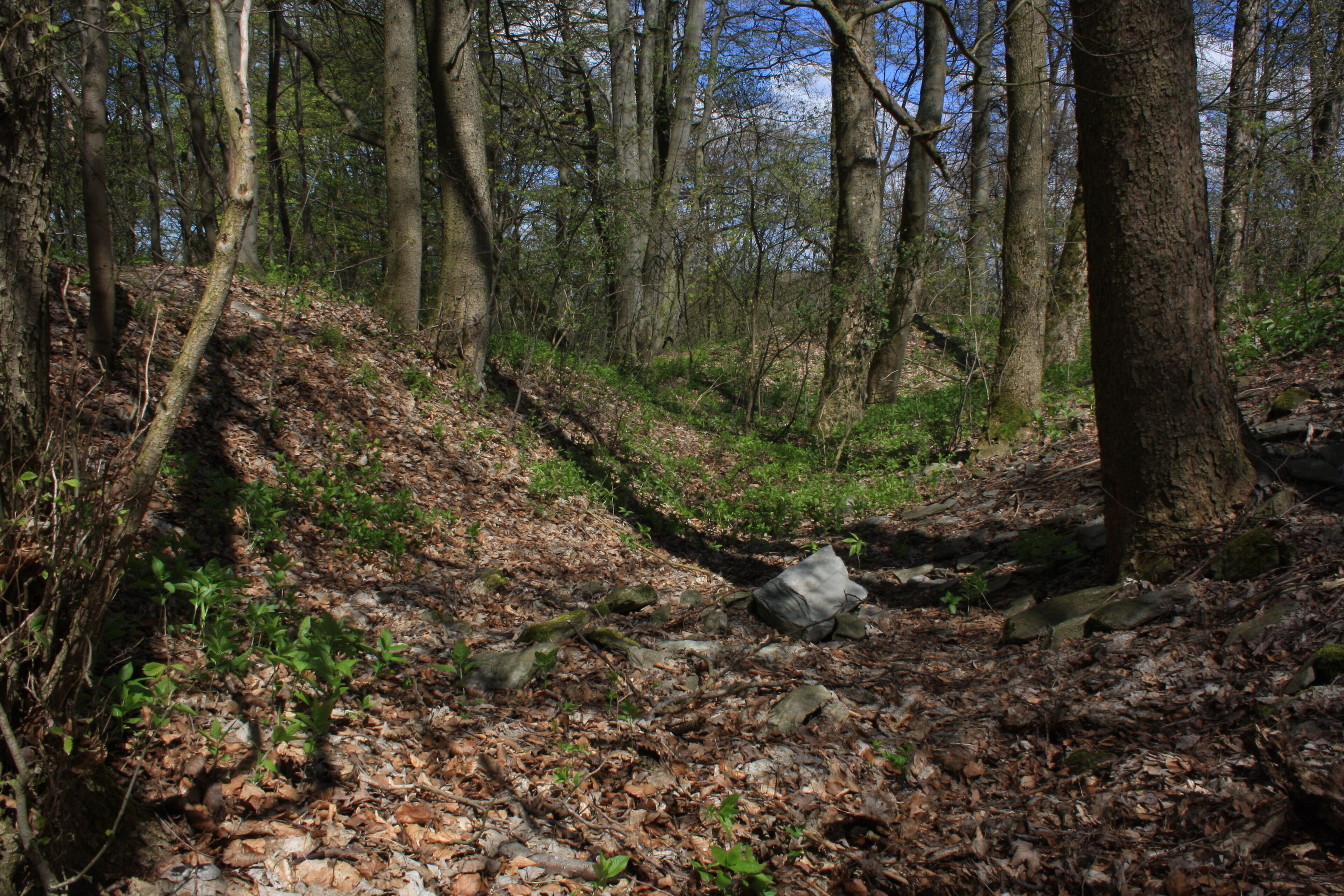 Reste vom Graben um die Burg LSG 2631001 Hessische Rhön