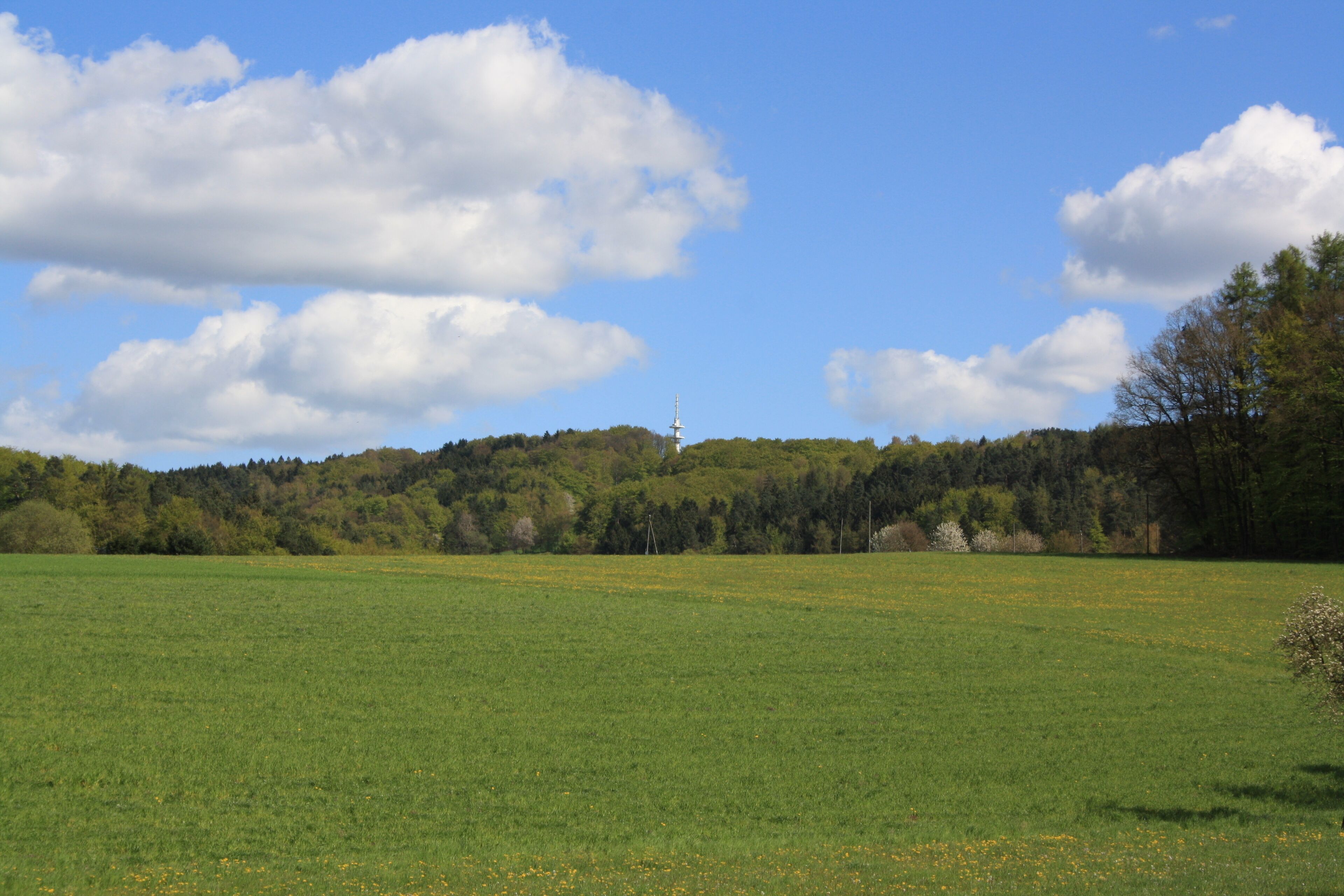 Impression aus der Rhön, Im Hintergrund der Heidküppel
