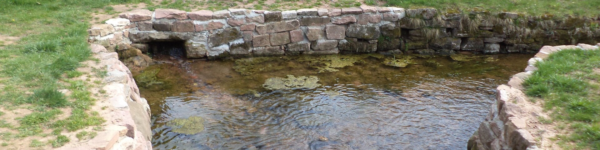 Die Jossaquelle in Lettgenbrunn