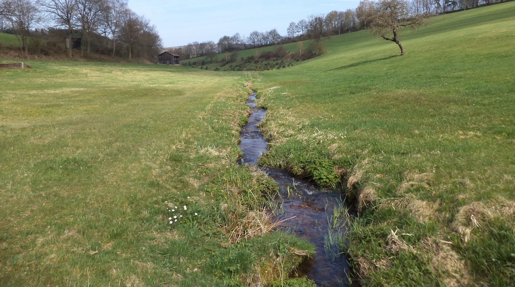 Der Kalbach östlich von Pfaffenhausen