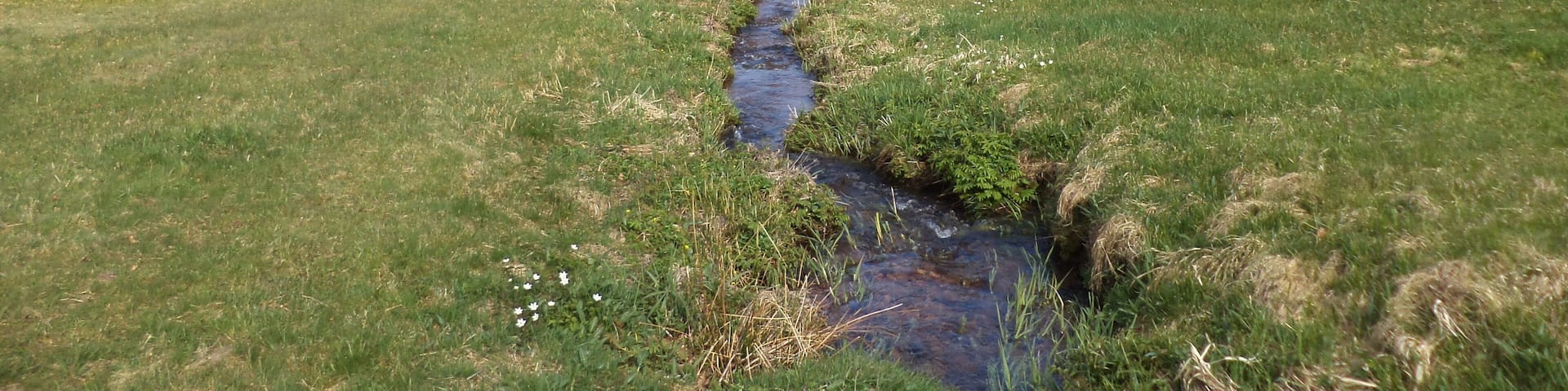 Der Kalbach östlich von Pfaffenhausen