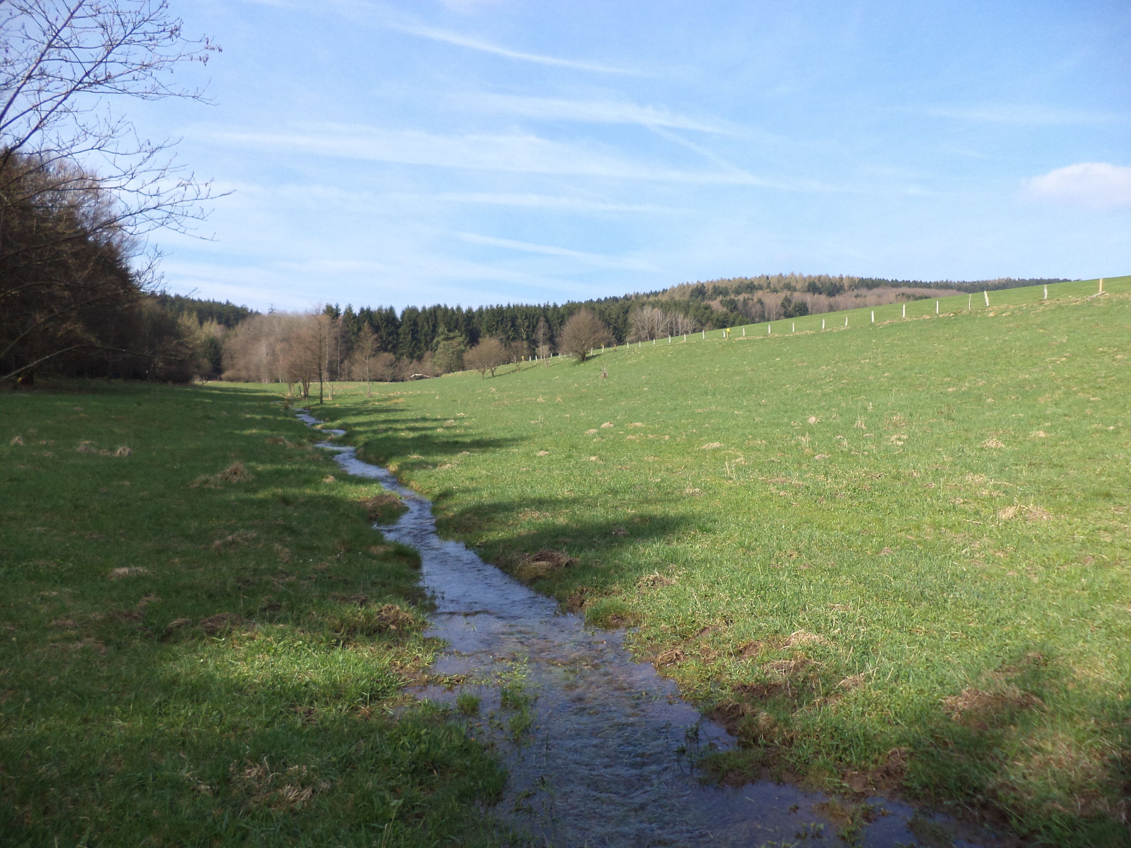 Der Hungerbach am Wanderparkplatz "Hungerbach" südlich von Lettgenbrunn