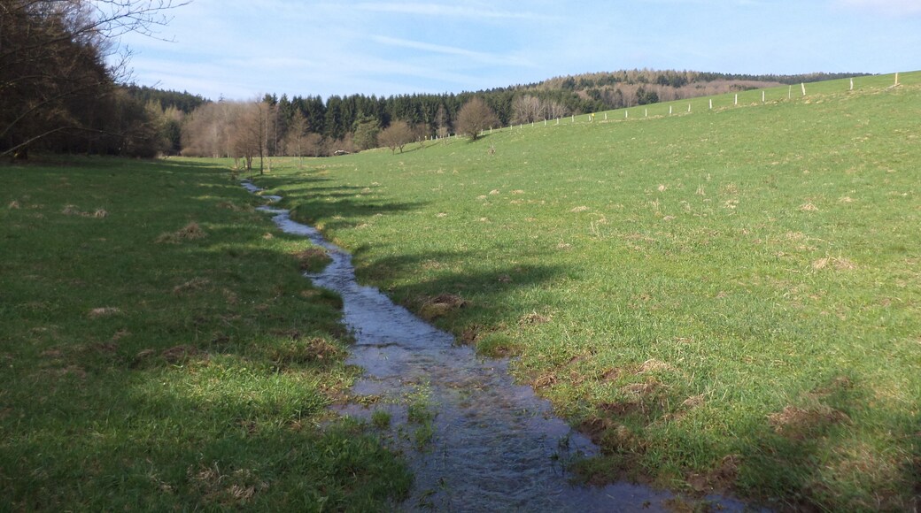 Der Hungerbach am Wanderparkplatz "Hungerbach" südlich von Lettgenbrunn