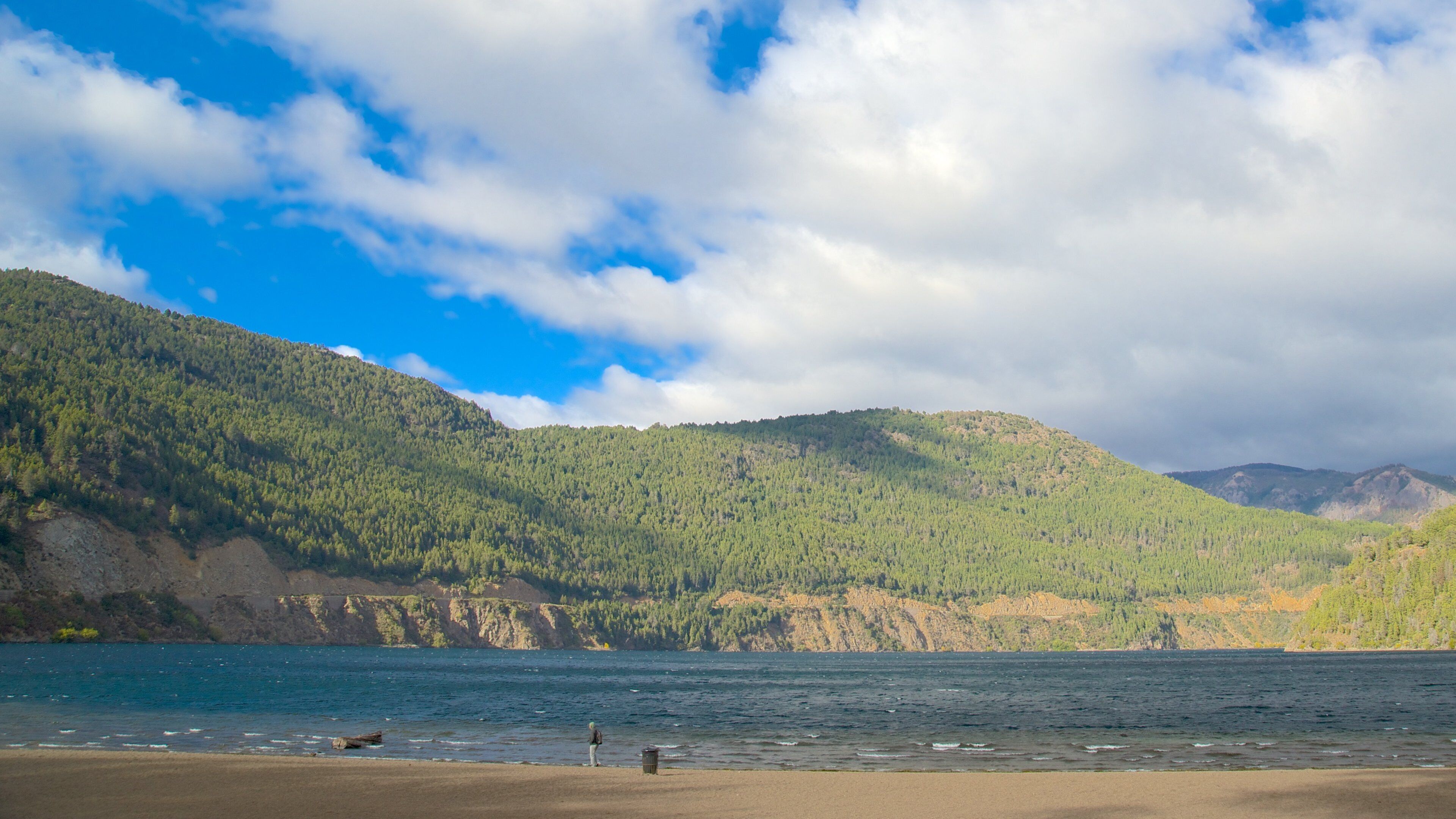 San Martín de los Andes ofreciendo vistas de paisajes, una playa de arena y un lago o abrevadero