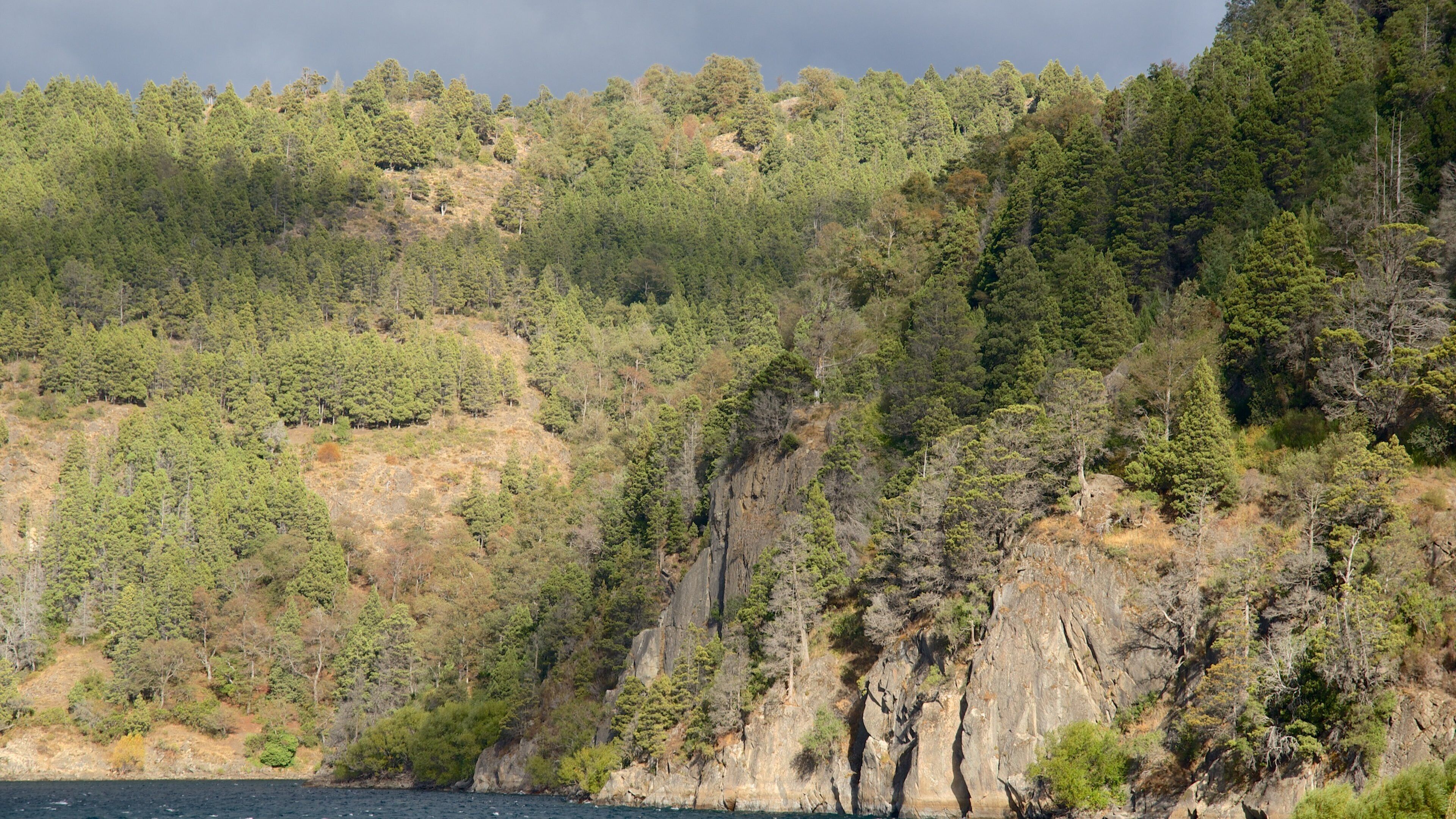 San Martín de los Andes