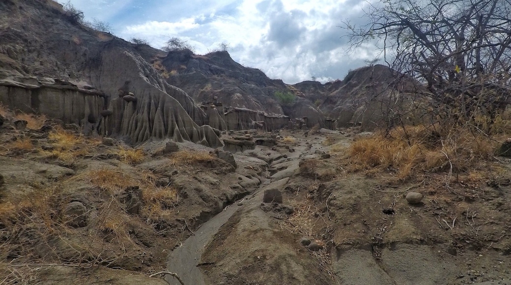 In this desert you have two parts: a red sanded and a grey-green sanded part.
This is the beautiful grey-green part.