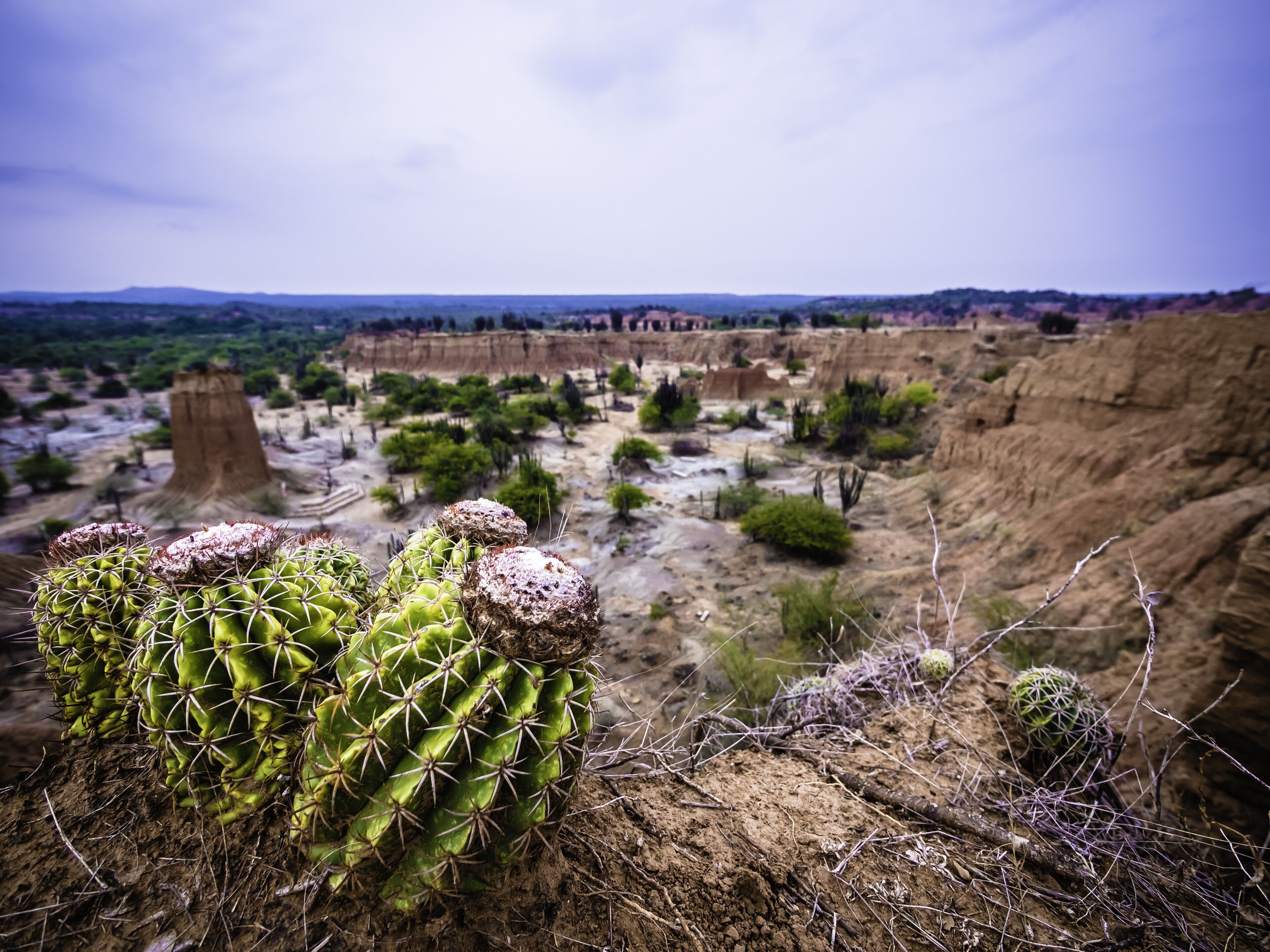 Beautiful landscape in Cuzco Red Desert, in Tatacoa Desert, Huila, Colombia