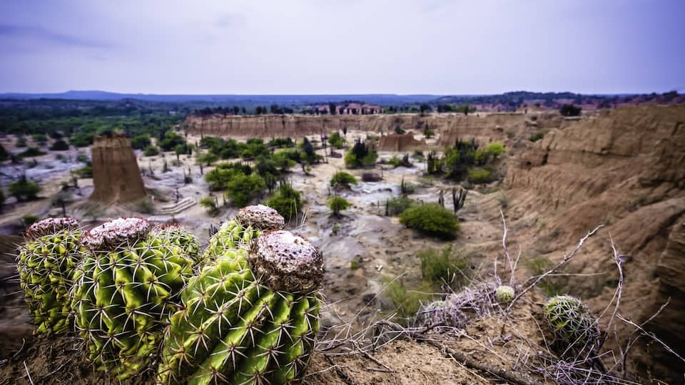 Beautiful landscape in Cuzco Red Desert, in Tatacoa Desert, Huila, Colombia