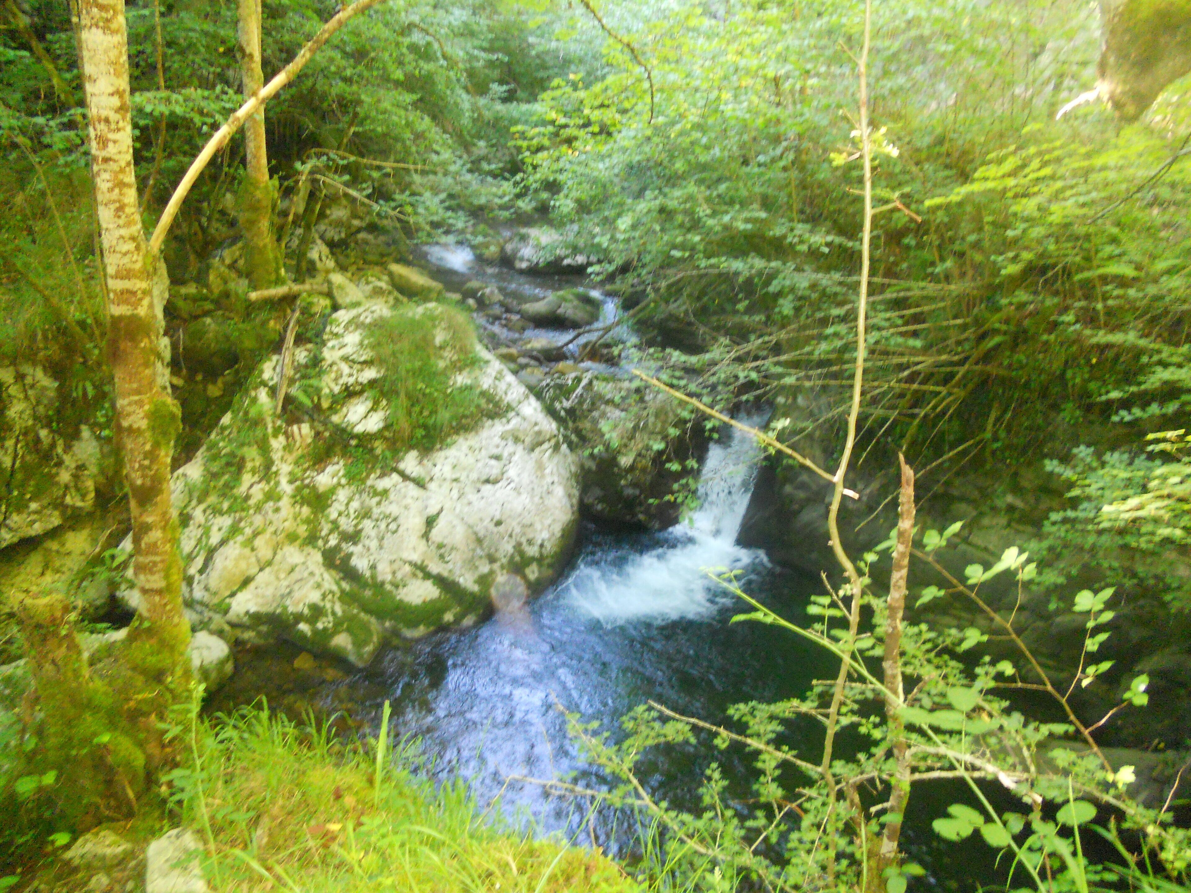 Salto de agua en el Rio Alba , por la ruta del mismo nombre en Sobrescobio " Parque Natural de Redes " , Asturias.