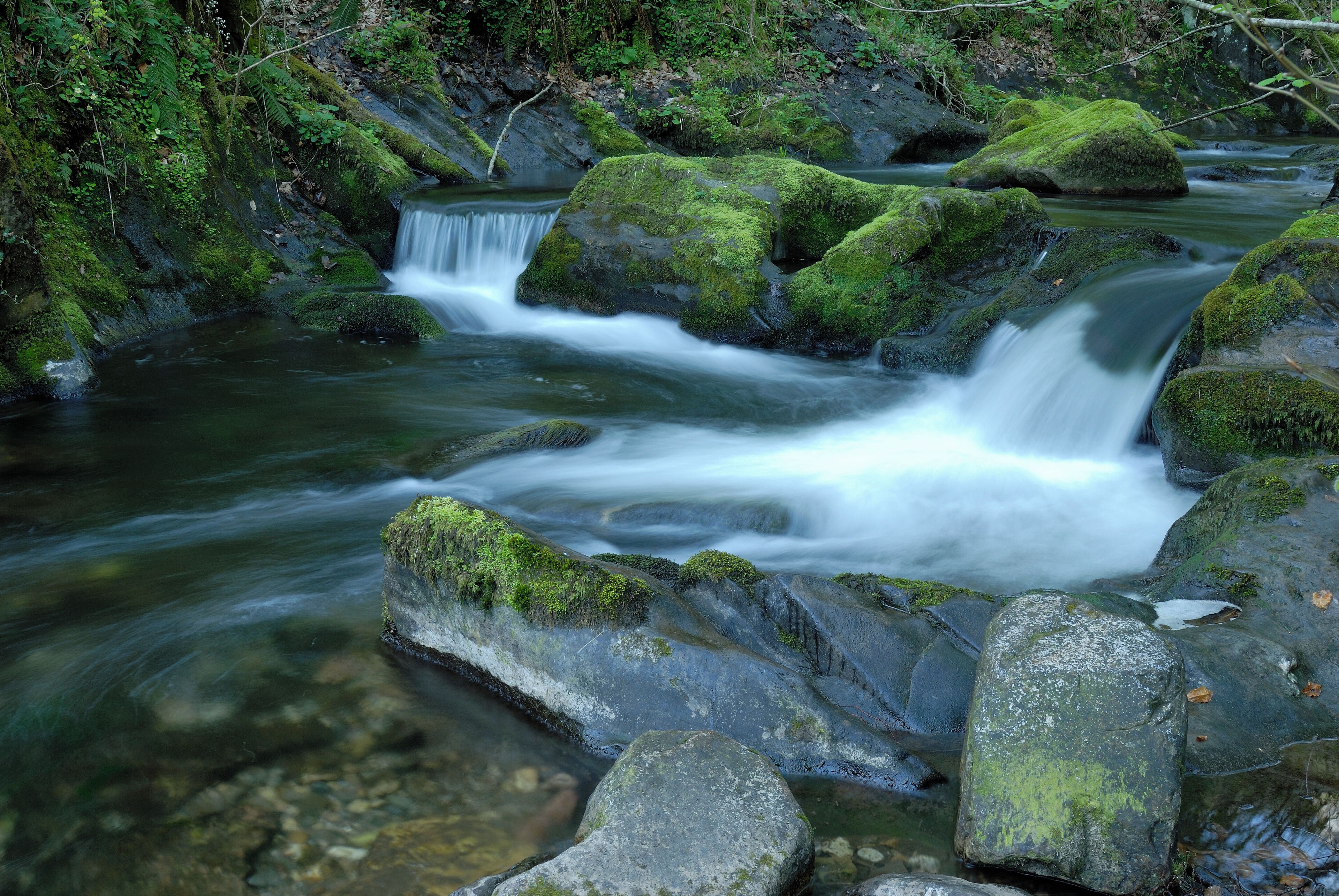 A stream flowing over moss-covered rocks in a forested area.