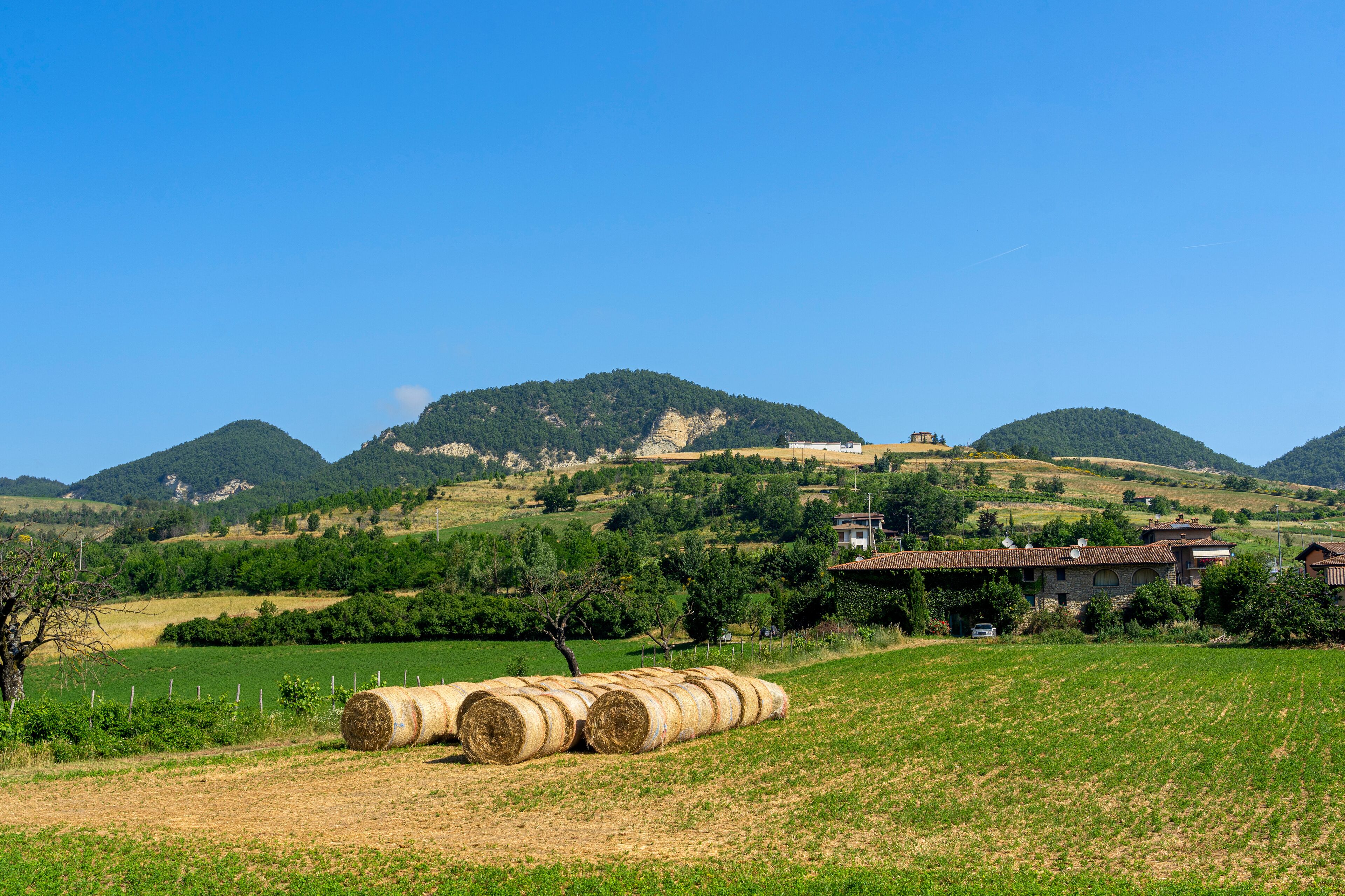 Oltrepo Pavese near Varzi, Pavia