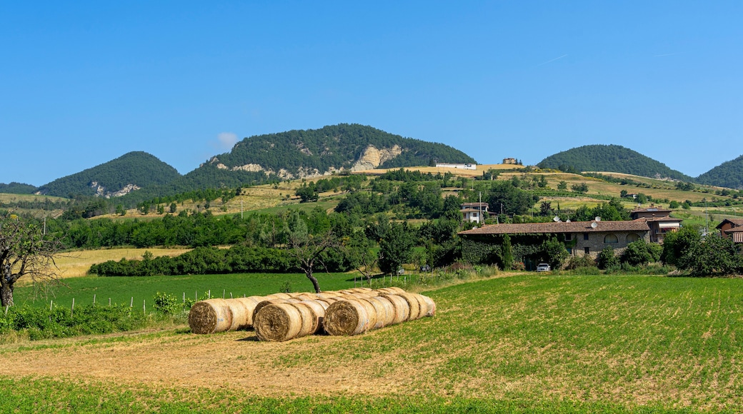 Oltrepo Pavese near Varzi, Pavia