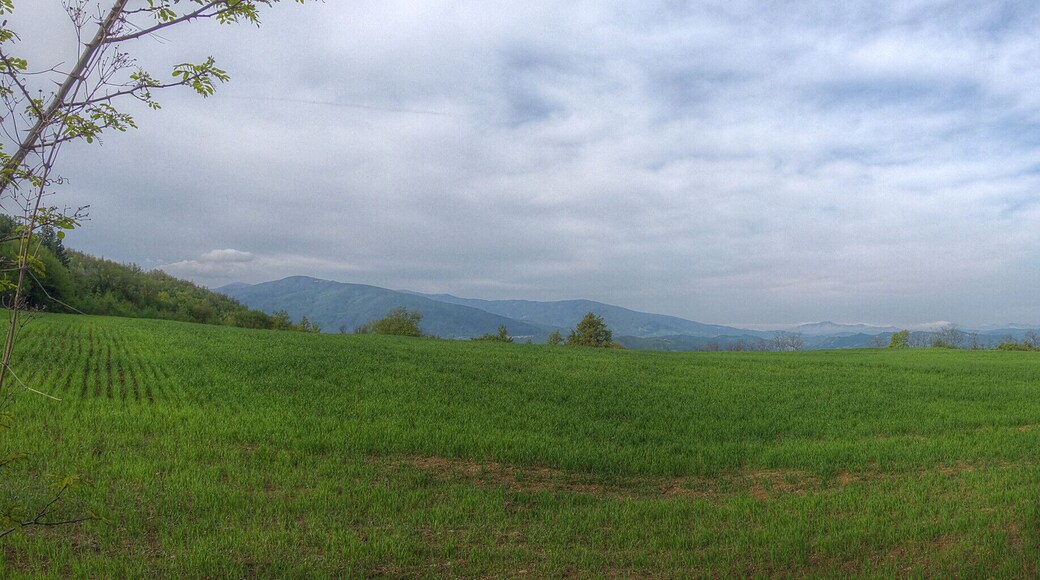 Vista verso Sud-Ovest