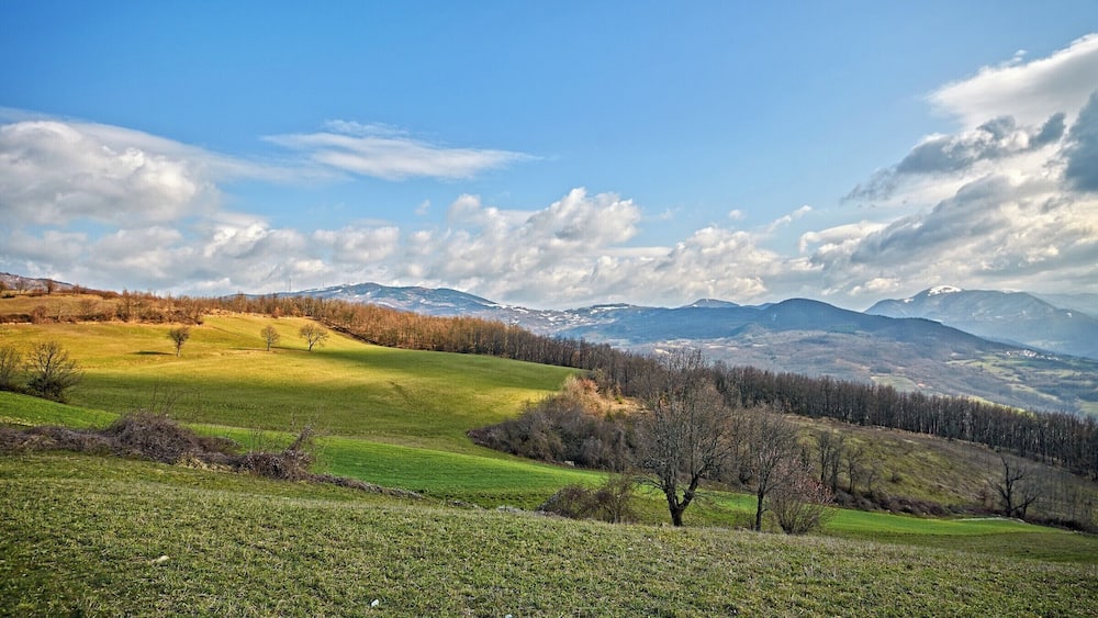 Un champ verdoyant, avec des arbres et des montagnes en arrière-plan.