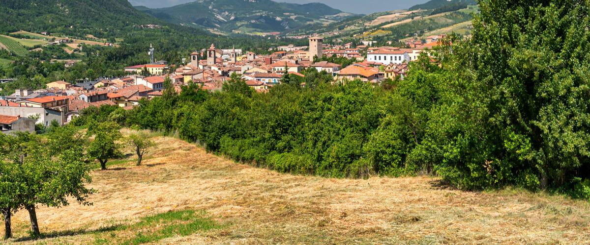 A town nestled in a valley with red-roofed buildings, surrounded by green hills and trees.