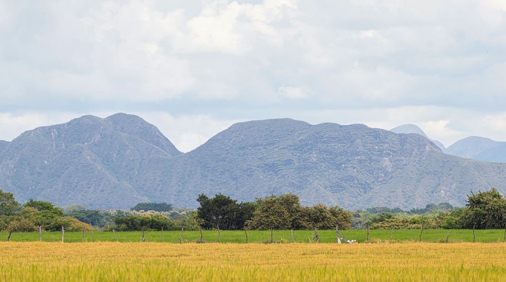 view of the mountains in Paicol Huila Colombia