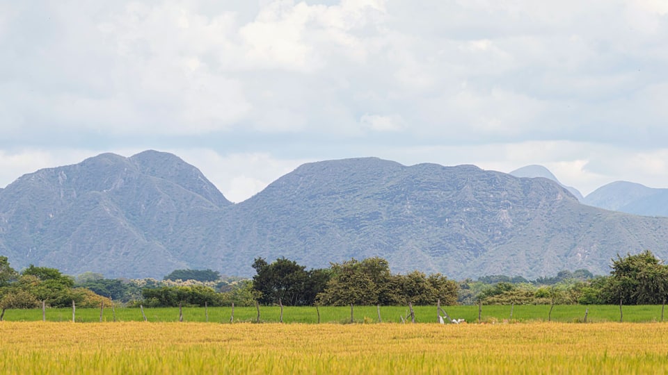 view of the mountains in Paicol Huila Colombia