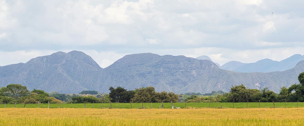 A mountainous landscape with a field of crops in the foreground.