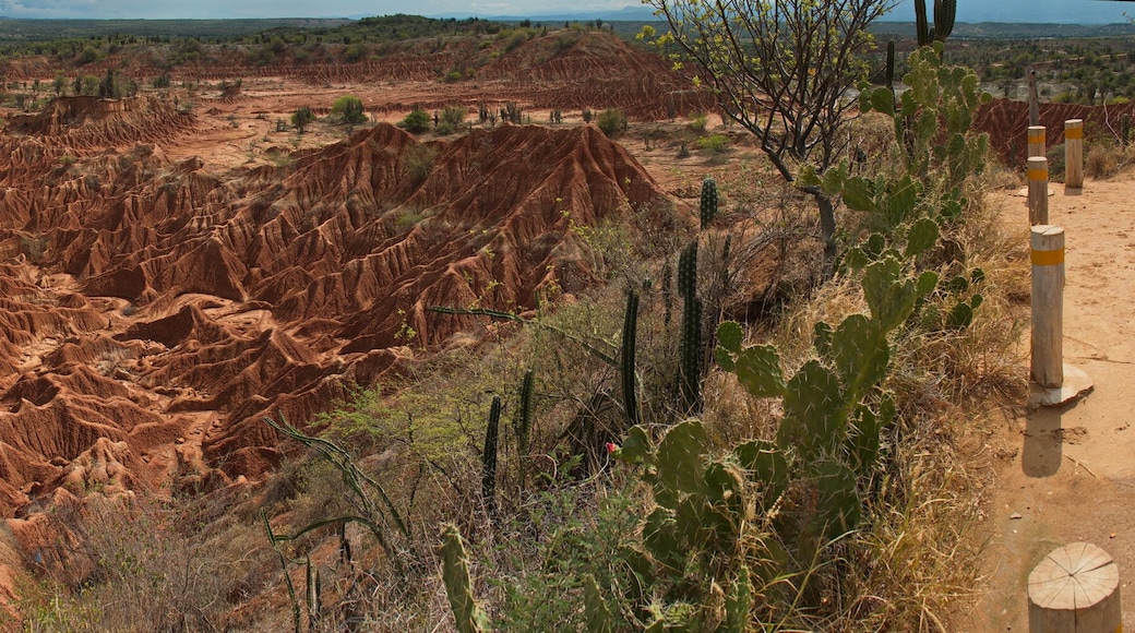 Laberinto El Cusco in Tatacoa desert in Colombia