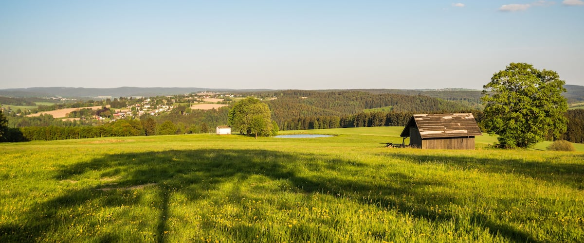 A green field with a barn and a tree.