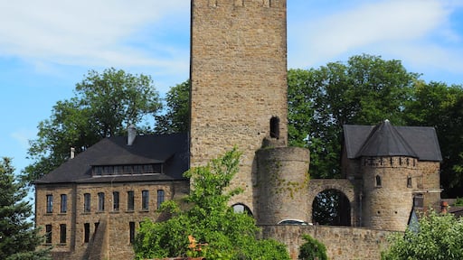 A historic stone tower with arched windows, a large building with multiple windows, and lush green trees in the background.