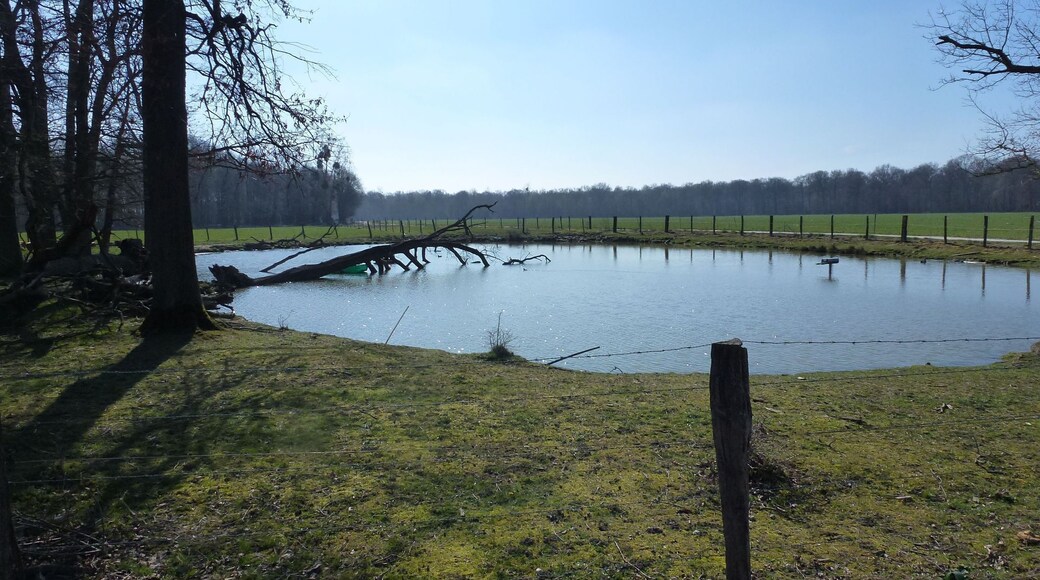 Mare au Russe (nord-est)