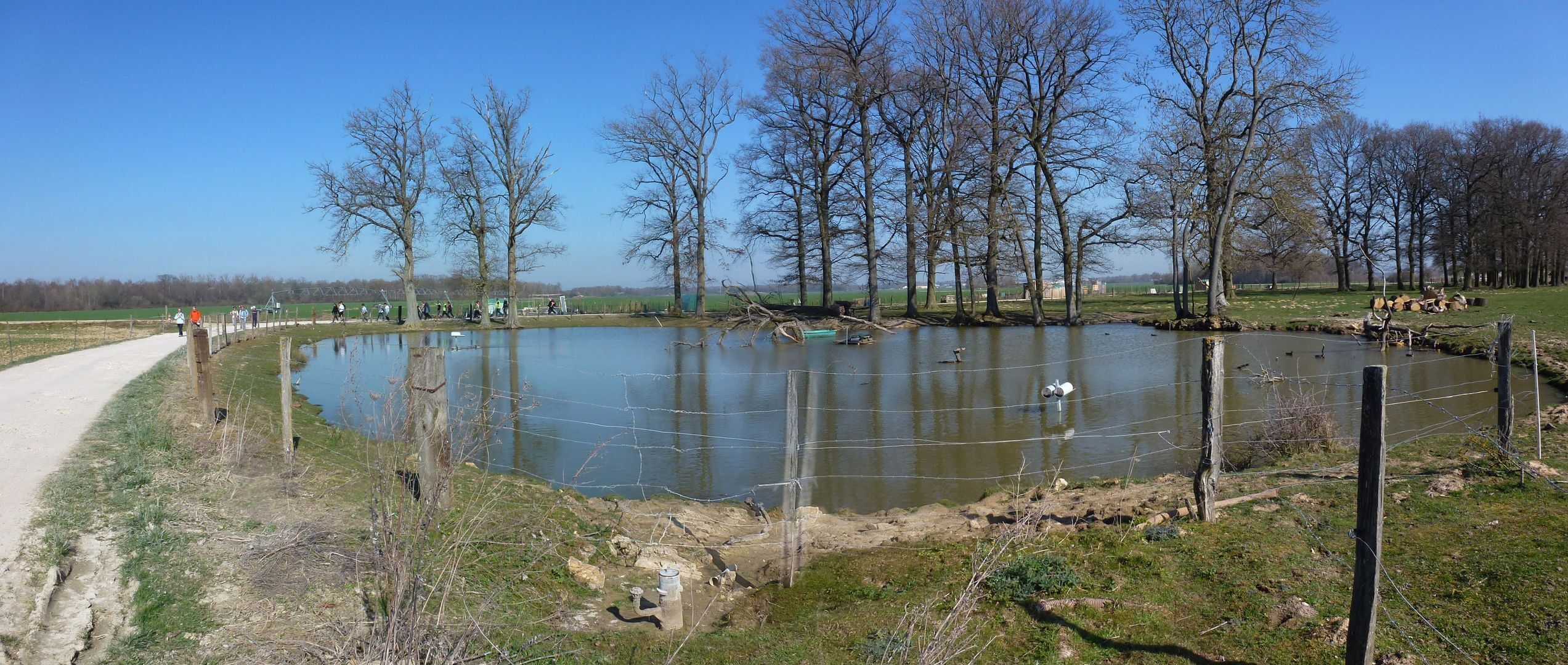 A pond surrounded by trees and a dirt path.