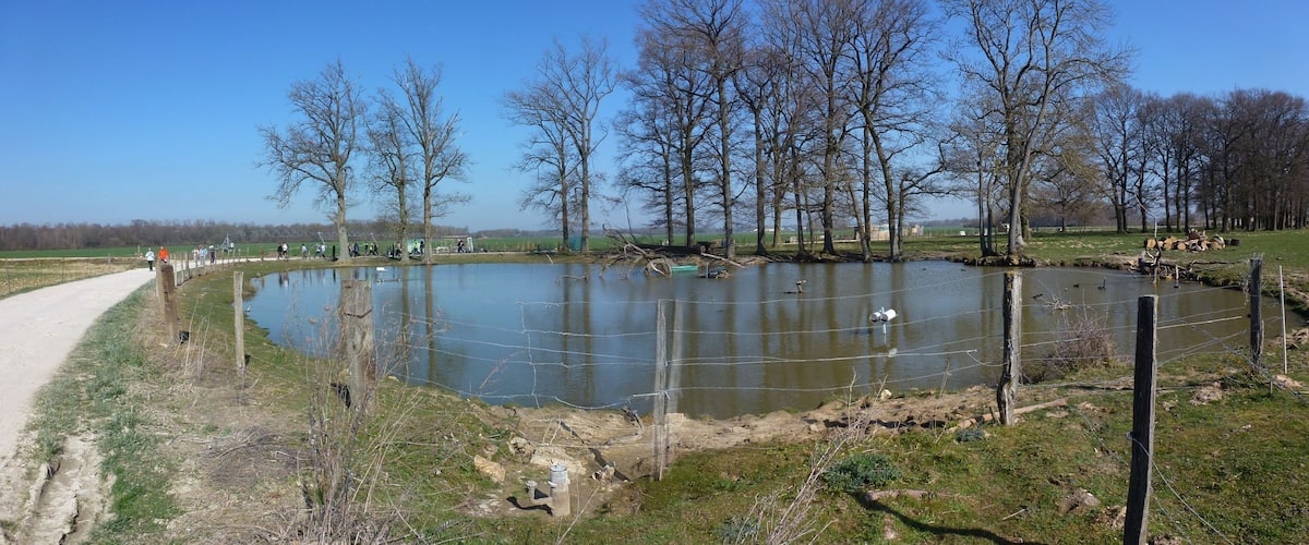 A pond surrounded by trees and a dirt path.