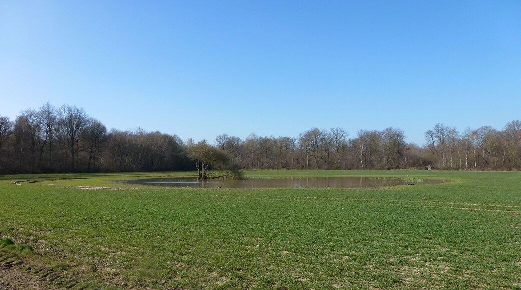 Mare entre la Forêt de la Léchelle et le Bois Bateau (1)