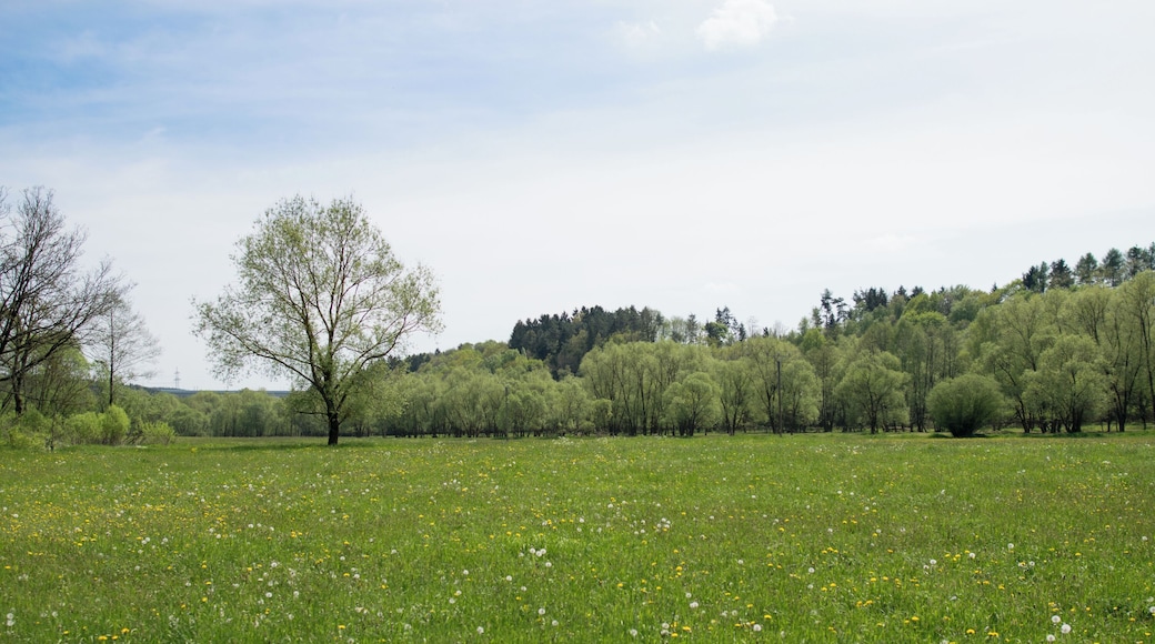 Foto vom nördlichen Teil des Naturschutzgebietes Itztal (Blickrichtung: Süden)