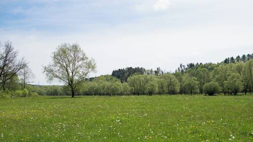 Foto vom nördlichen Teil des Naturschutzgebietes Itztal (Blickrichtung: Süden)