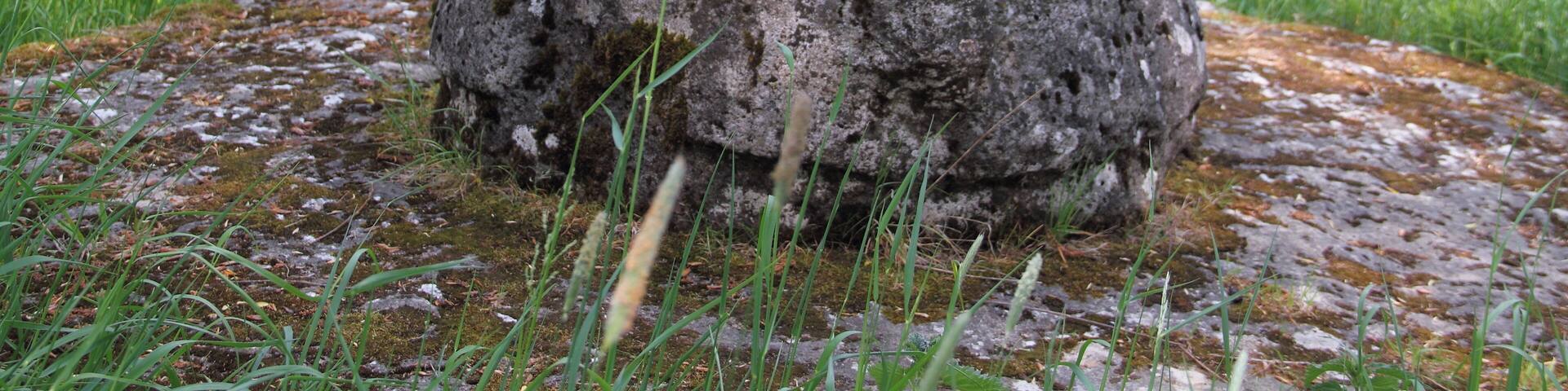 Die Kopfweidengruppe mit Taufstein aus dem 2.–3. Jahrh. Selberten in der Nähe des Creglinger Ortsteils Oberrimbach. SGNr. 81280200031.