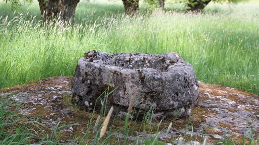 Die Kopfweidengruppe mit Taufstein aus dem 2.–3. Jahrh. Selberten in der Nähe des Creglinger Ortsteils Oberrimbach. SGNr. 81280200031.