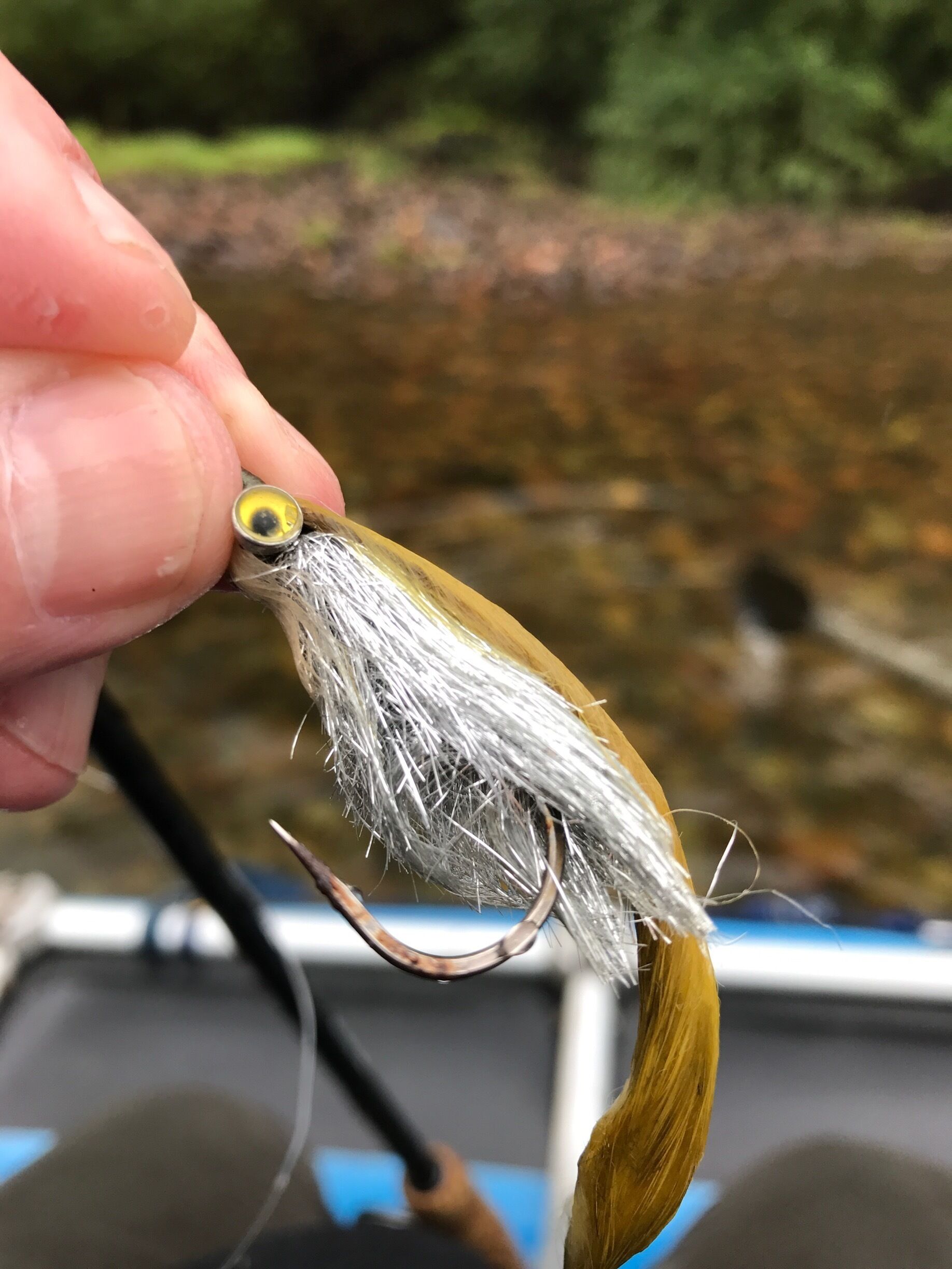 Streamer used to catch my Patagonian trout 😎✅