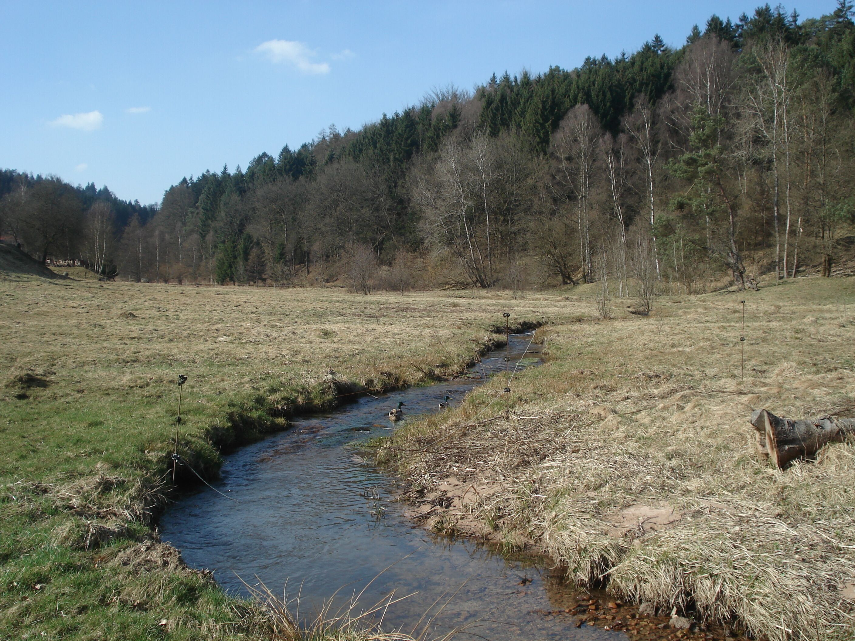 Der Laubersbach vor Frammersbach
