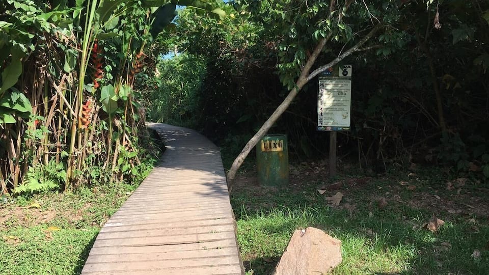 Beach access from our street on a gated community in Itambuca beach, Ubatuba. The luscious green vegetation popped out to me
