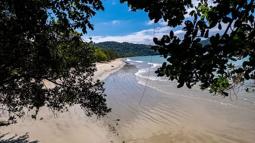 brazilian paradise beach, ilha do prumirim ubatuba brazil