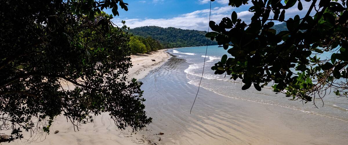 A beach with clear water, surrounded by trees and hills.