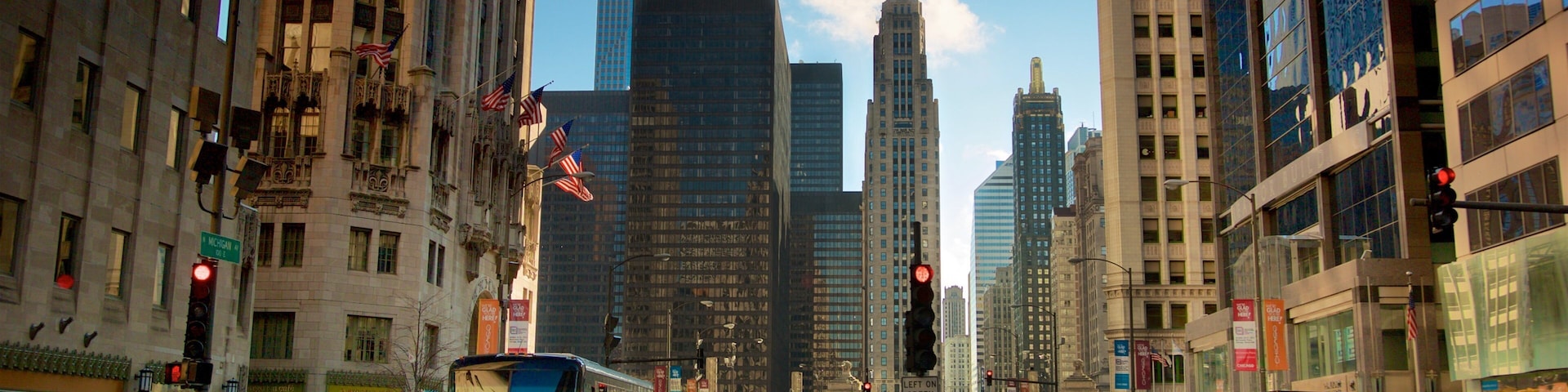 Downtown Chicago showing a city
