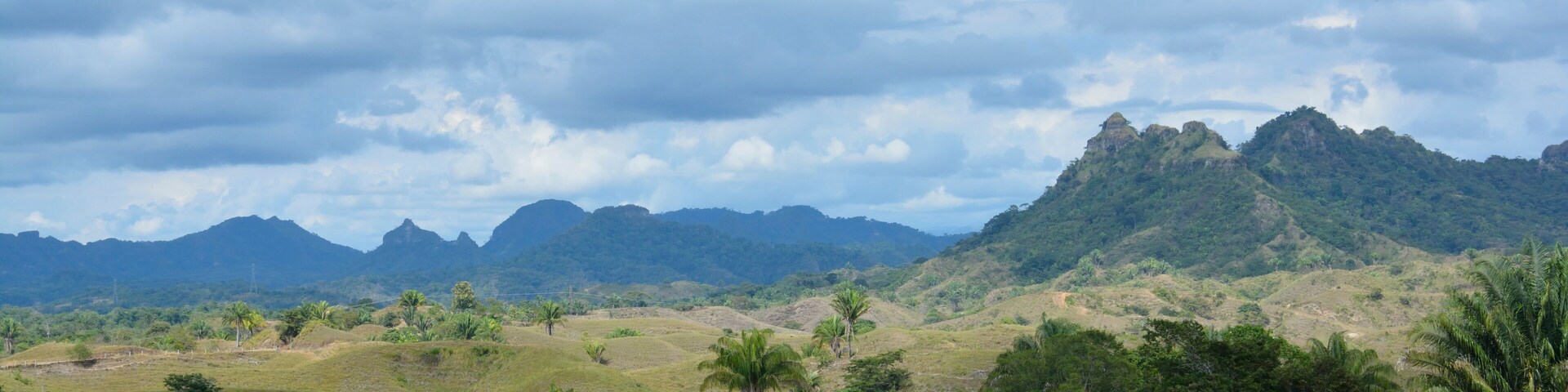 A hilly landscape with palm trees and a dirt path.