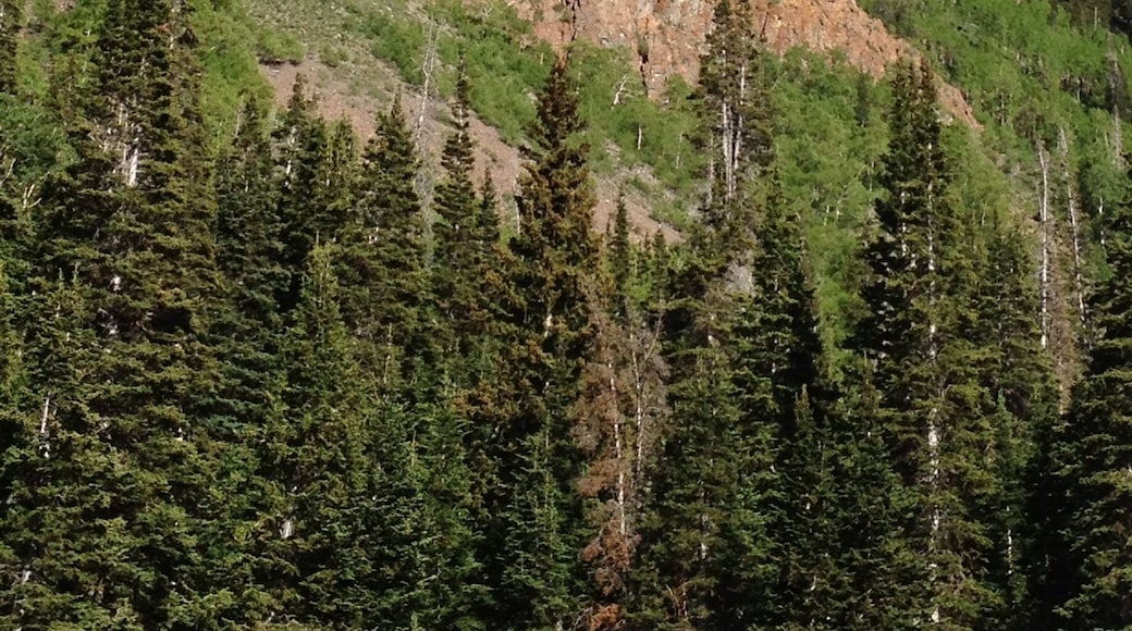 This rock formation is called The Devils Dutch Oven. Up #Monroemountain.