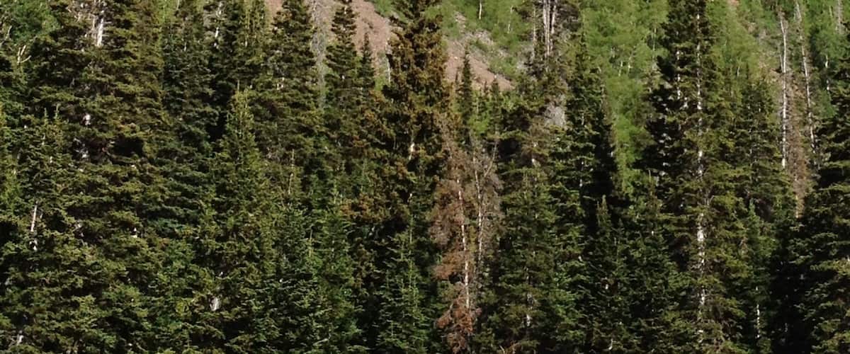 This rock formation is called The Devils Dutch Oven. Up #Monroemountain.