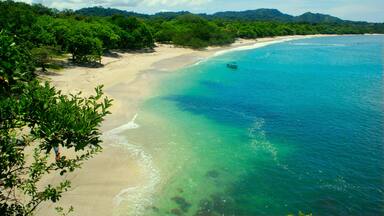 Uma praia com águas turquesa cristalinas, areal arenoso e vegetação verde exuberante.