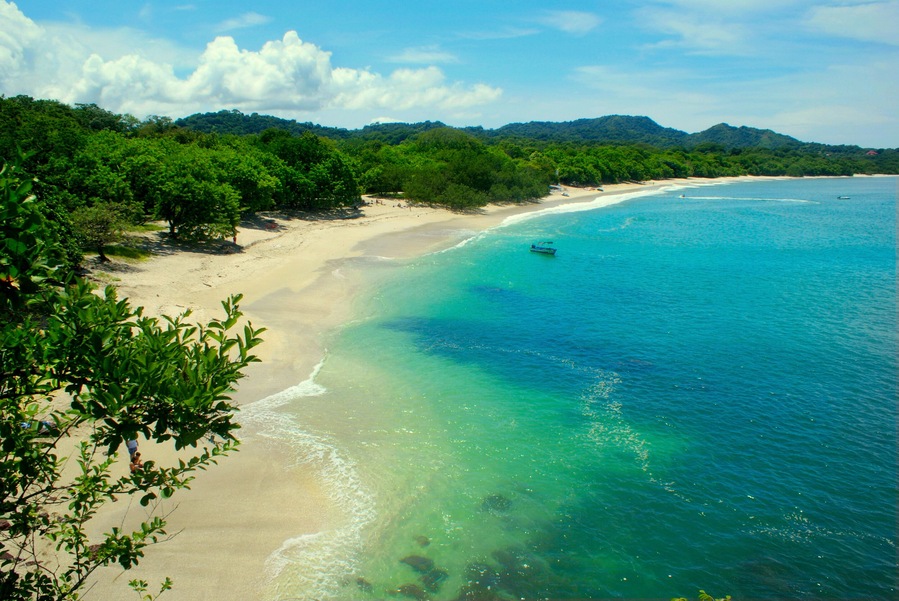 A beach with clear turquoise waters, sandy shore, and lush green trees.