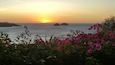 A sunset over the ocean with two islands in the distance and pink flowers in the foreground.