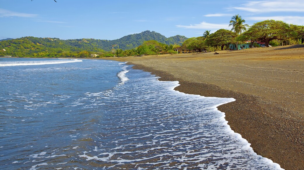 بلايا كونتشال