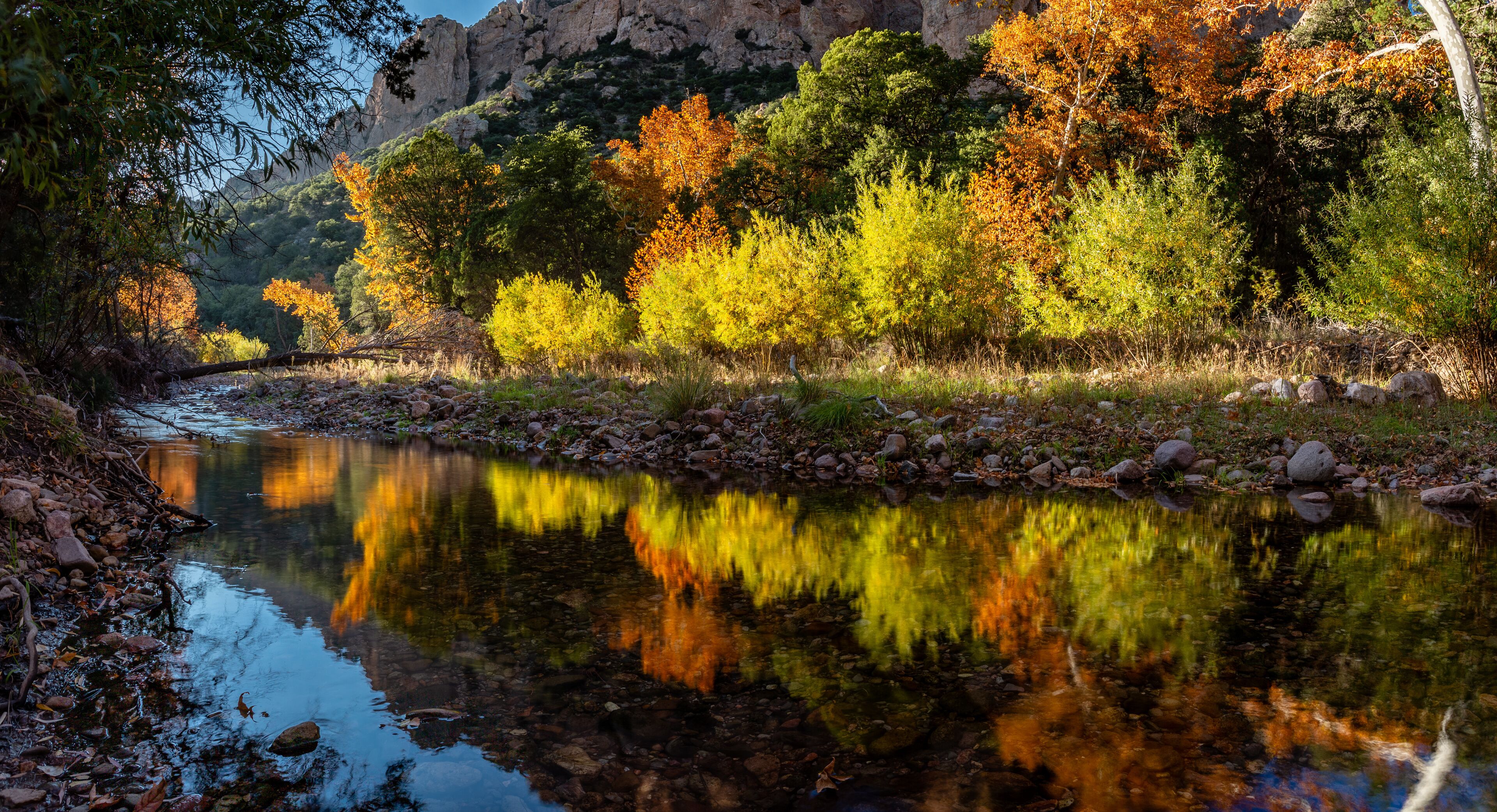 Bright Fall foliage reflects in the waters of Cave Creek. Cave Creek Canyon in the Chiricahua Mountains near Portal, Arizona.